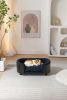 Scandinavian style Elevated Dog Bed Pet Sofa With Solid Wood legs and Black Bent Wood Back, Cashmere Cushion,Small Size